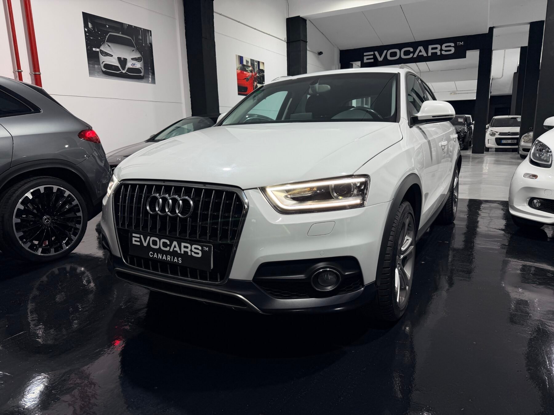 AUDI 2.0 TDI EXCLUSIVE